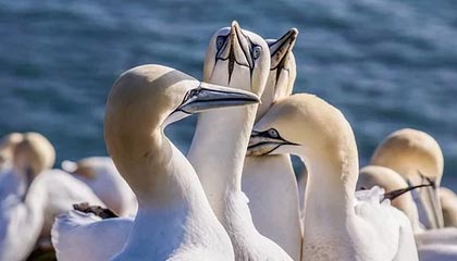 九游体育登陆-亚洲杯赛程出炉中国男篮小组对手实力强劲，亚洲杯男篮比赛时间