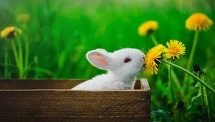 九游体育登陆-亚洲杯赛程出炉中国男篮小组对手实力强劲，亚洲杯男篮比赛时间